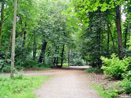 muengersdorf