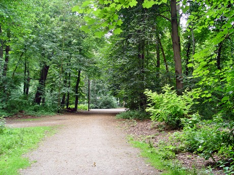 muengersdorf