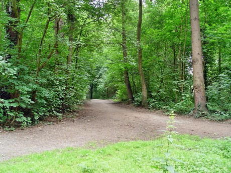 muengersdorf