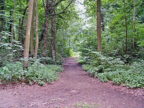 muengersdorf