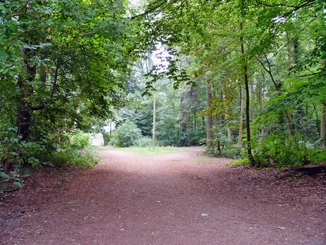 muengersdorf