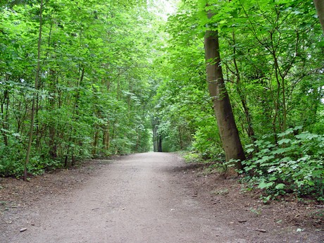 muengersdorf