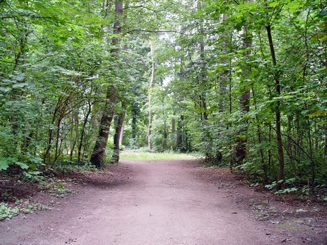 muengersdorf