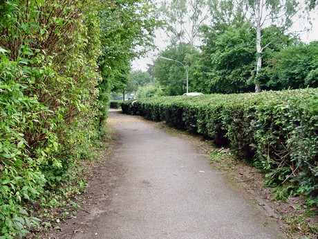 muengersdorf