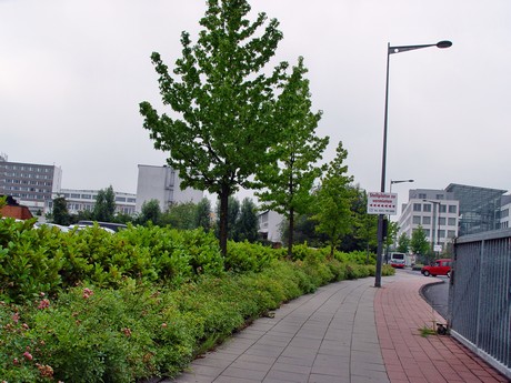 muengersdorf