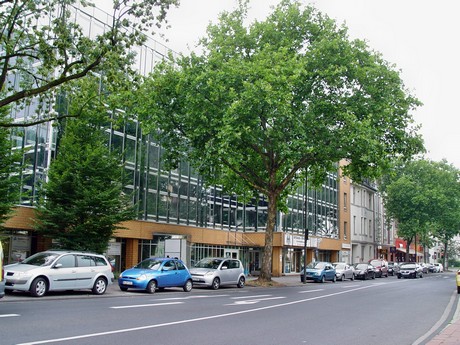 muengersdorf
