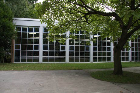 muengersdorf
