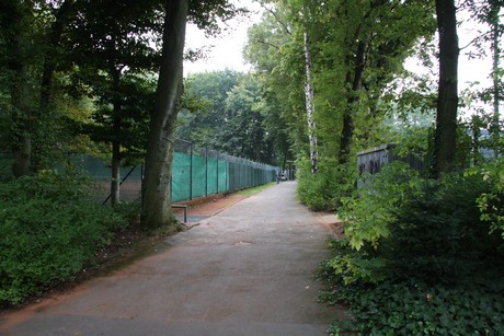 muengersdorf