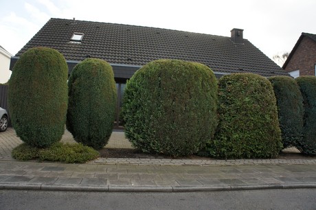 muengersdorf