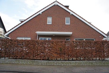 muengersdorf