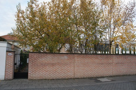 muengersdorf