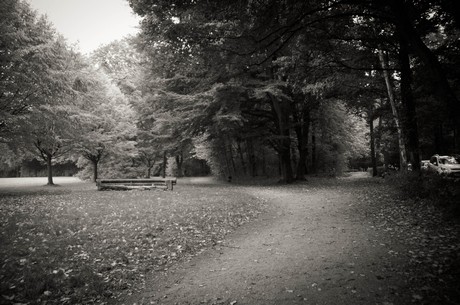 muengersdorf