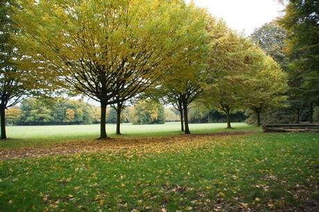 muengersdorf