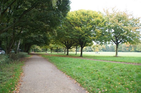 muengersdorf