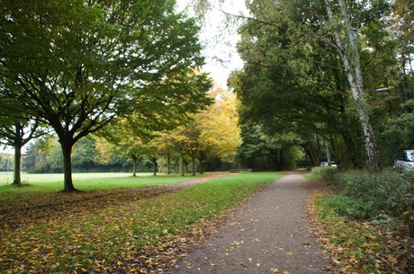 muengersdorf