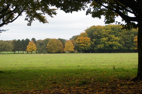 muengersdorf