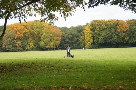 muengersdorf