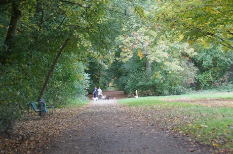 muengersdorf