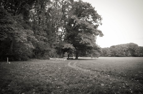 muengersdorf