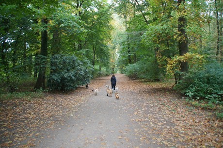 muengersdorf