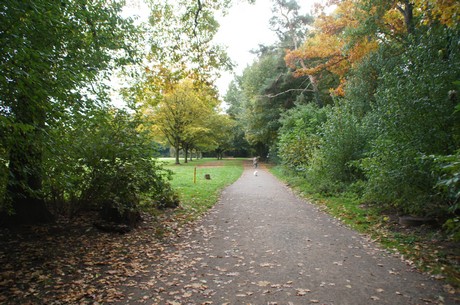 muengersdorf