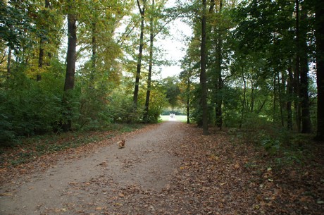 muengersdorf