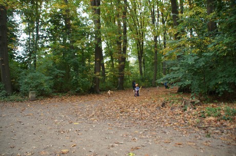muengersdorf