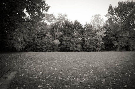 muengersdorf