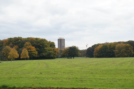 muengersdorf