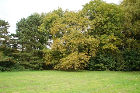 muengersdorf