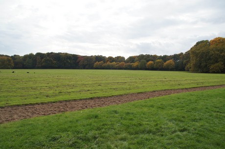 muengersdorf