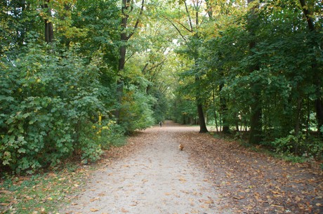 muengersdorf