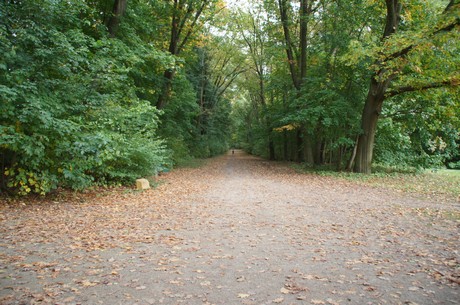 muengersdorf