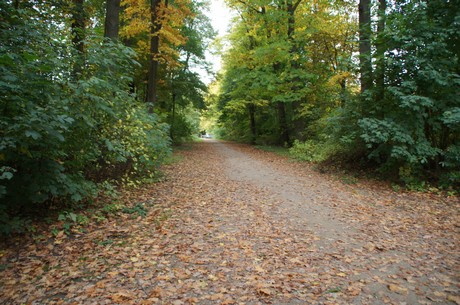 muengersdorf