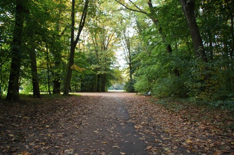 muengersdorf