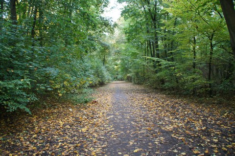 muengersdorf