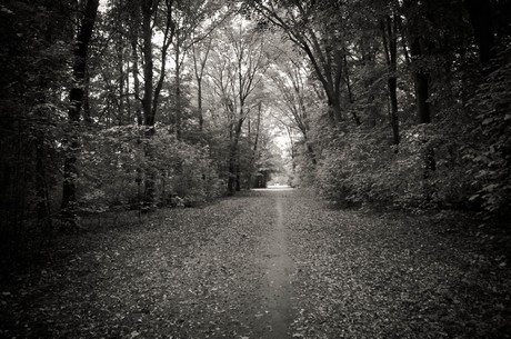 muengersdorf