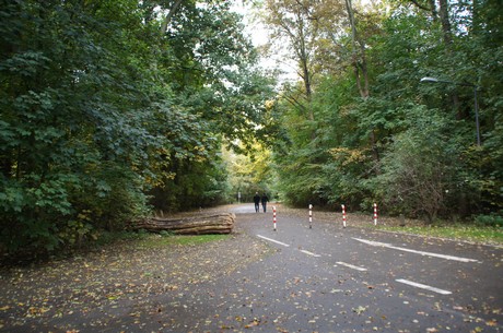 muengersdorf