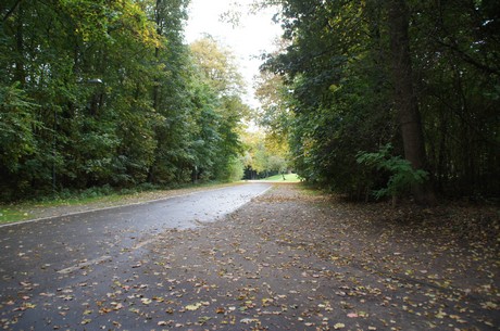 muengersdorf