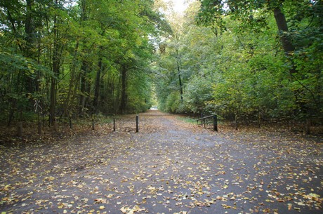 muengersdorf