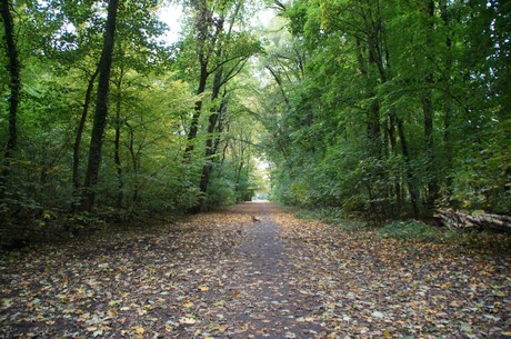 muengersdorf
