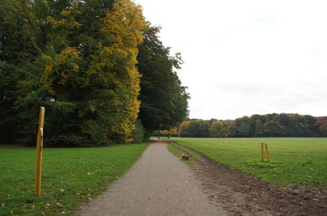 muengersdorf
