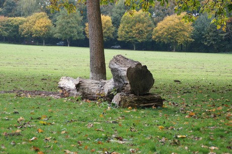 muengersdorf