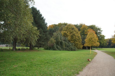 muengersdorf