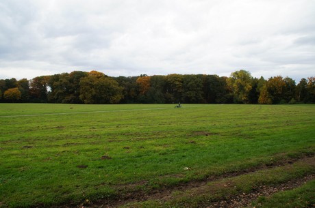 muengersdorf