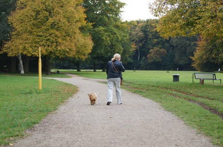 muengersdorf