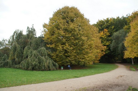 muengersdorf