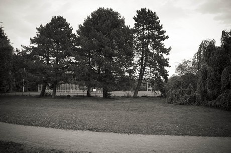 muengersdorf