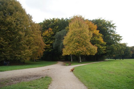 muengersdorf