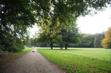muengersdorf